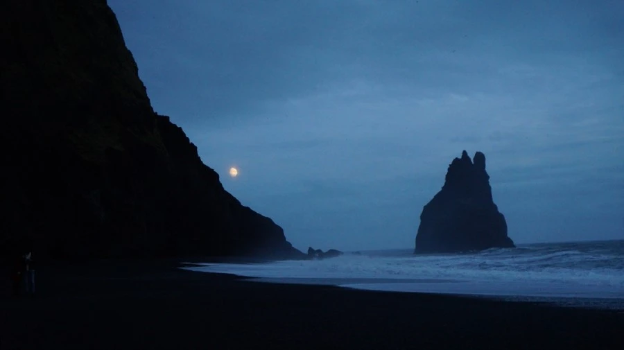 DSC08497%E3%85%A1.jpg?type=w1