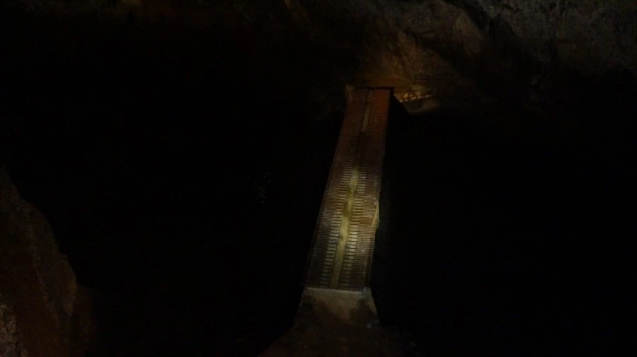 DSC06545.jpg?type=w1