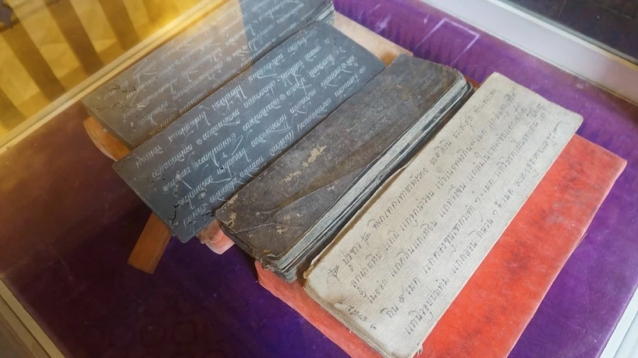 DSC01298.jpg?type=w1