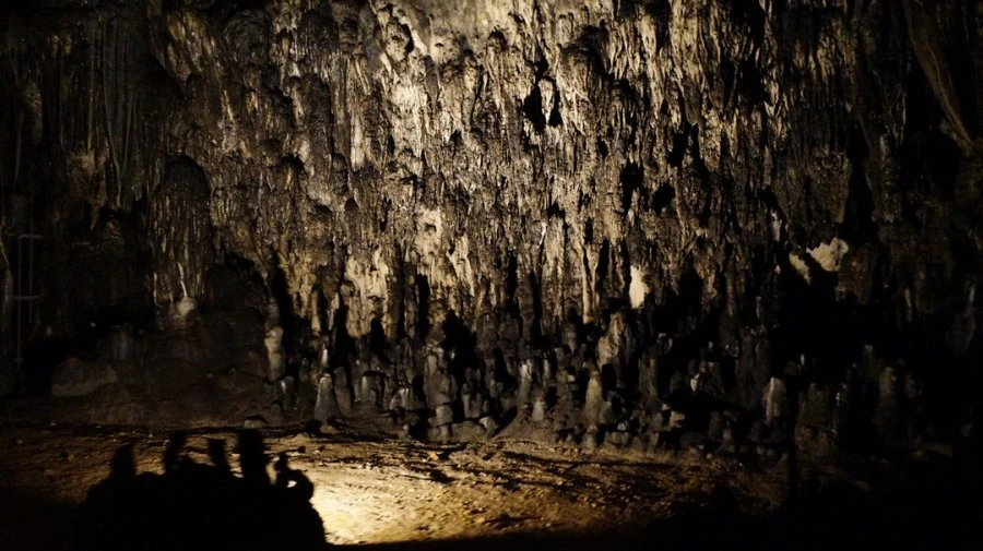 DSC06536%A4%D1.jpg?type=w1