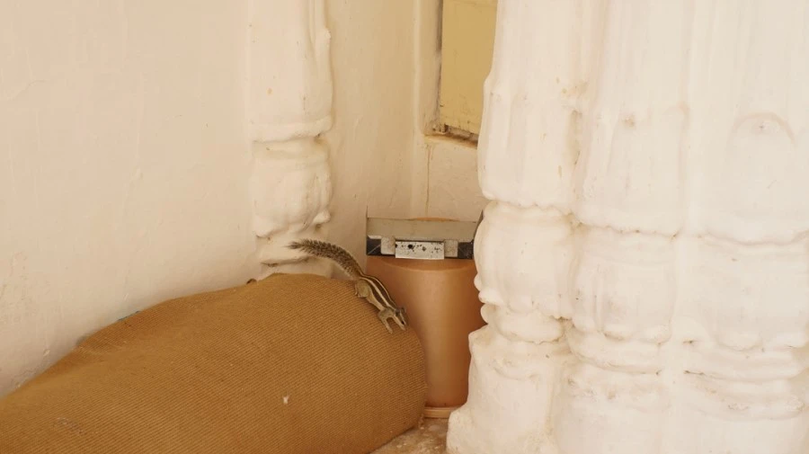 DSC03099.jpg?type=w1