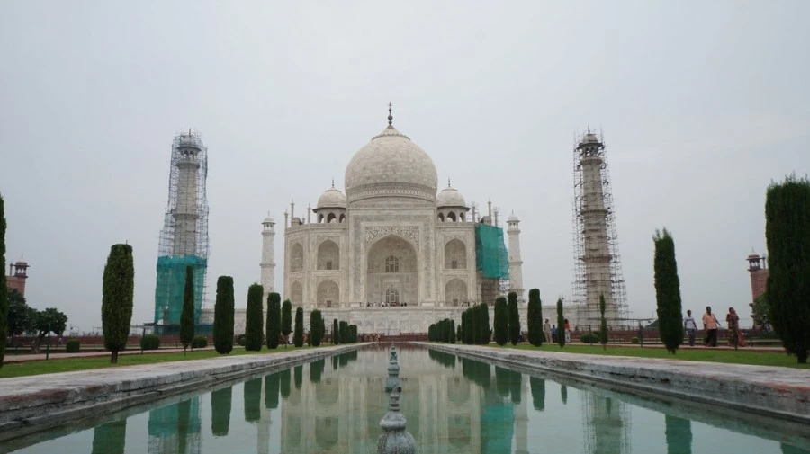 DSC03237.jpg?type=w1