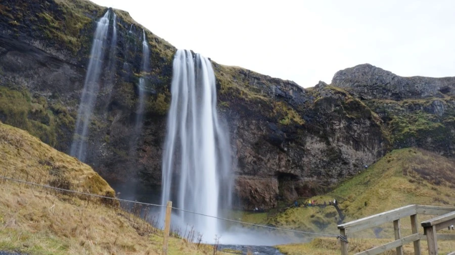 DSC08005%E3%85%A1.jpg?type=w1