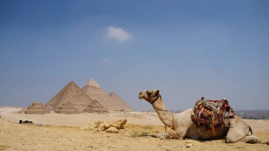 DSC04499%A4%D1.jpg?type=w1