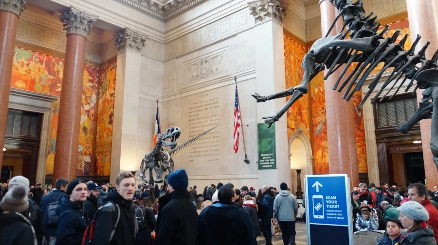 DSC04408.jpg?type=w1