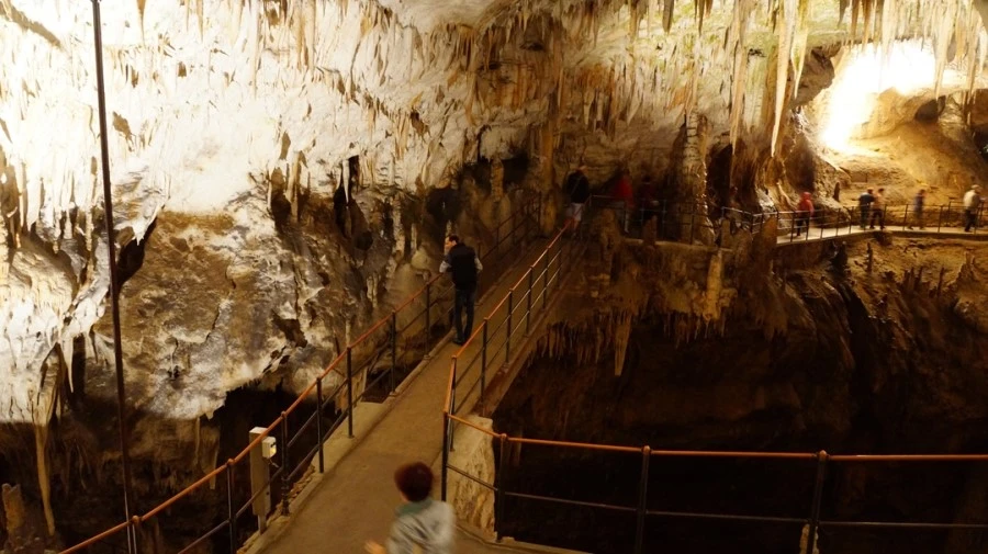 DSC06315.jpg?type=w1