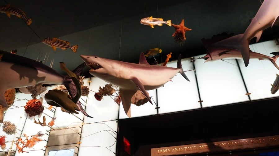 DSC04365.jpg?type=w1