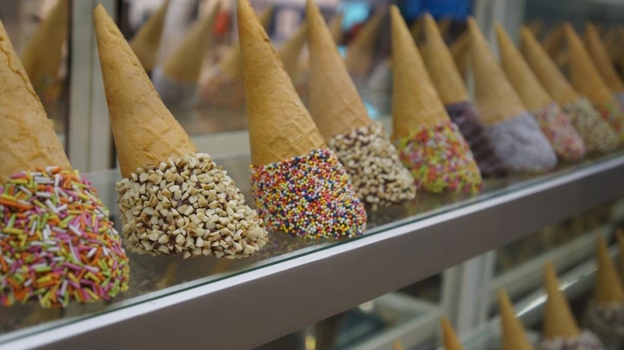 DSC01204%A4%D1.jpg?type=w1