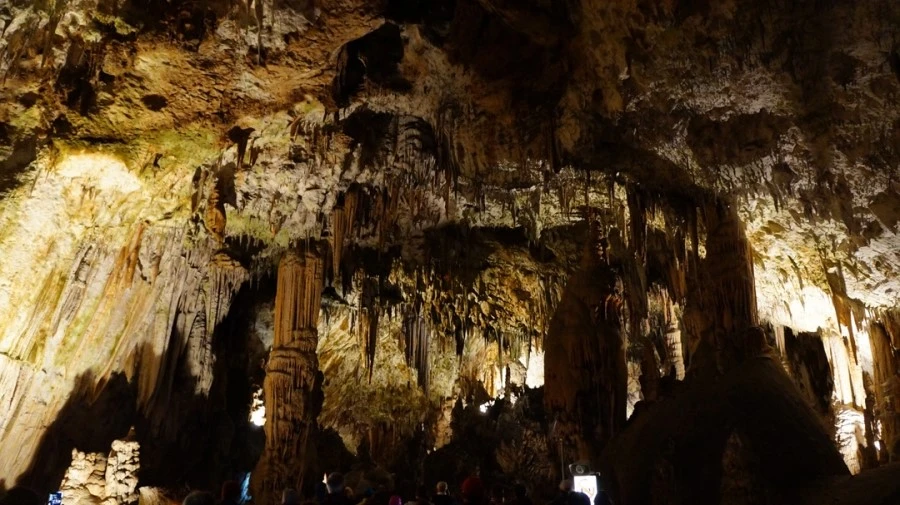 DSC06243%A4%D1.jpg?type=w1