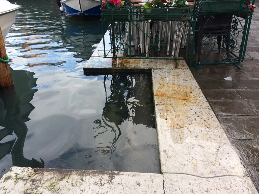 IMG_5669.jpg?type=w1