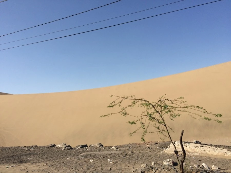 IMG_7120.jpg?type=w1