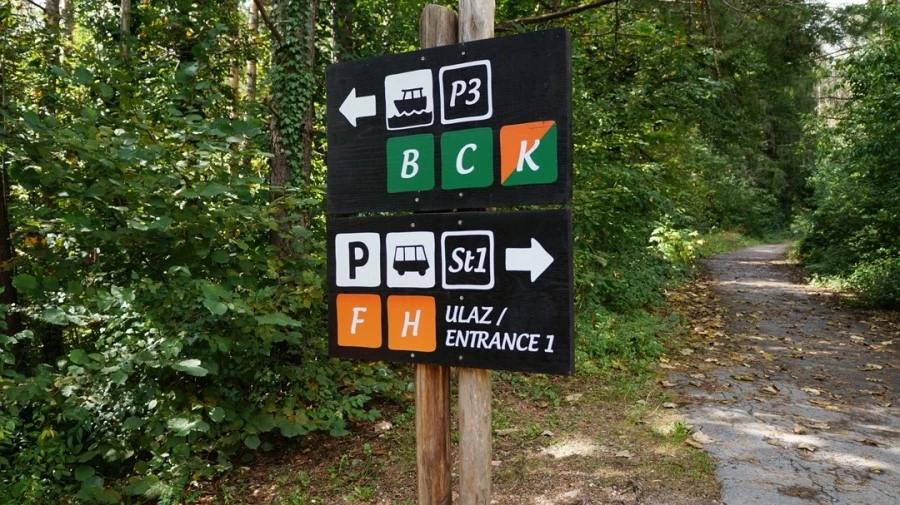 DSC05733.jpg?type=w1