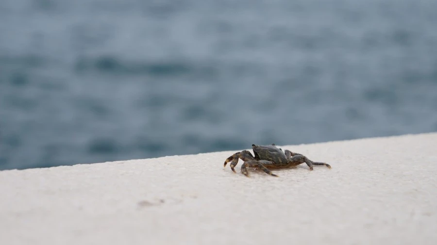 DSC06188.jpg?type=w1