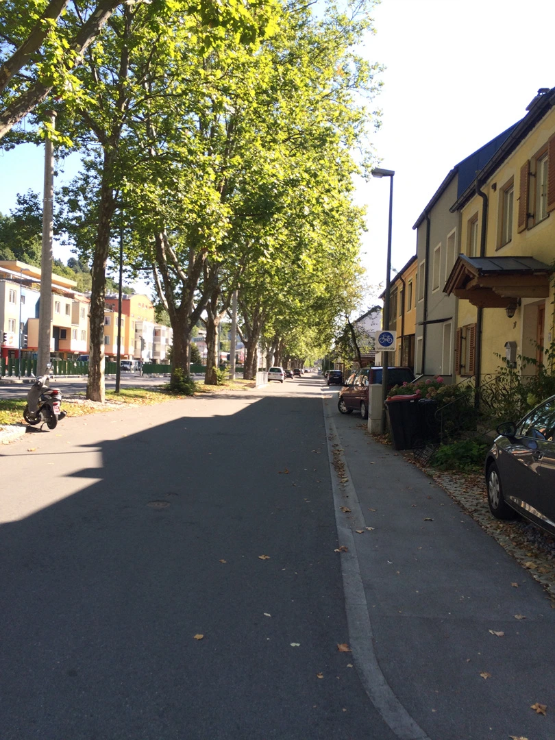 IMG_3721.jpg?type=w1