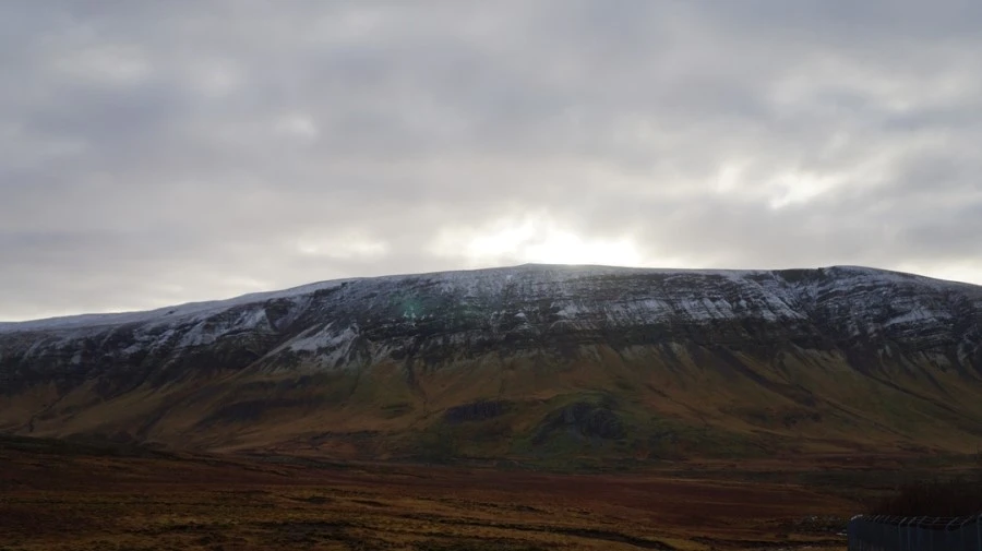 DSC07481%E3%85%A1.jpg?type=w1