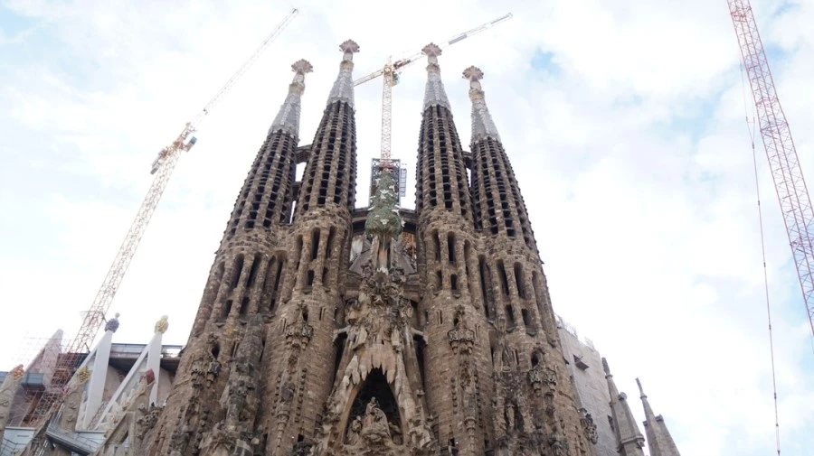 DSC09476.jpg?type=w1