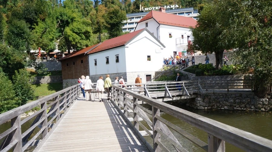 DSC06207.jpg?type=w1