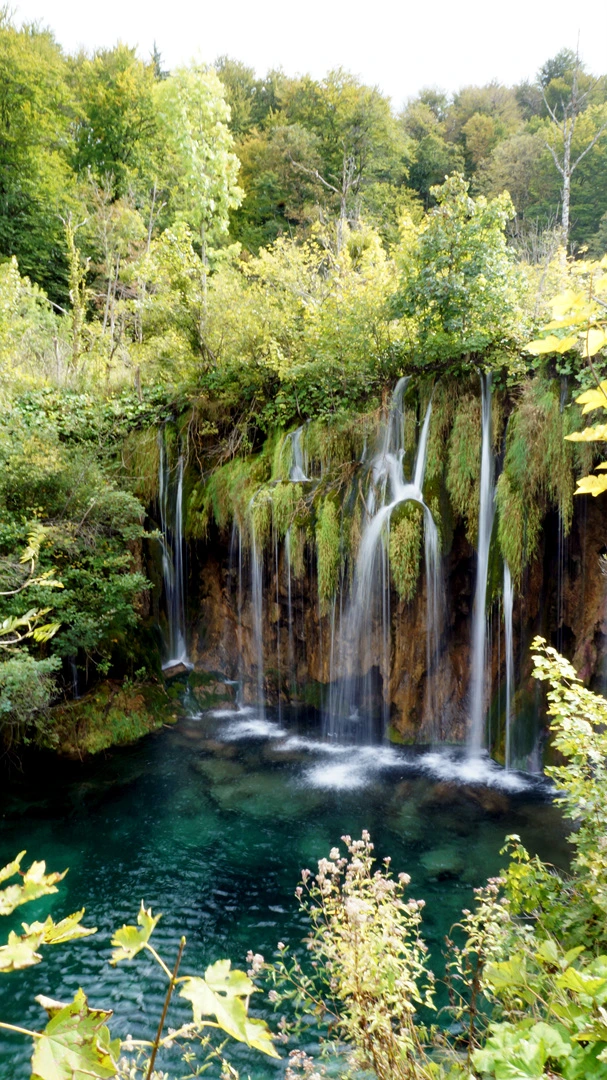 DSC05833%A4%D11.jpg?type=w1