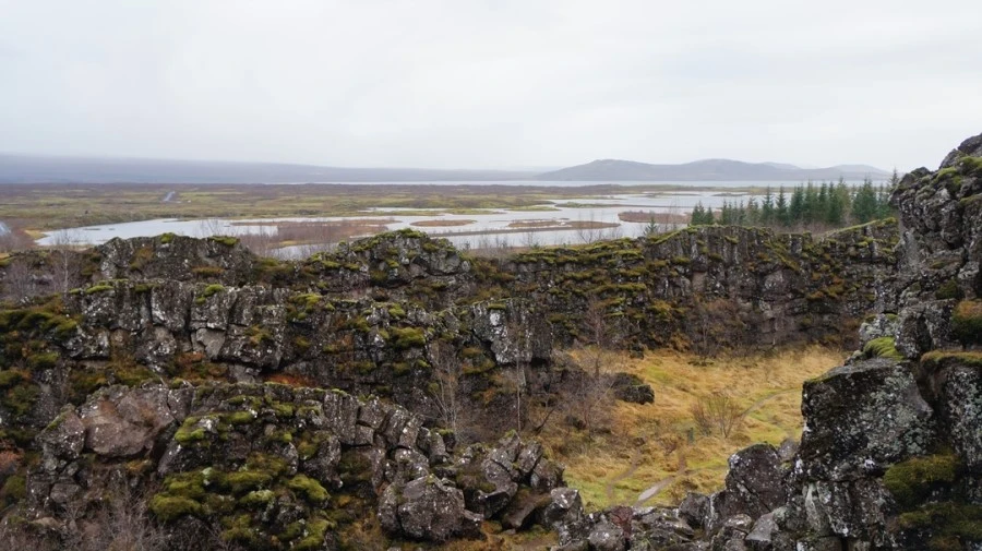 DSC07625.jpg?type=w1