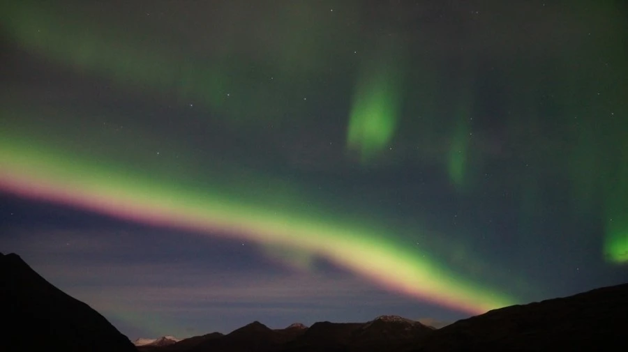 DSC09113%E3%85%A1.jpg?type=w1