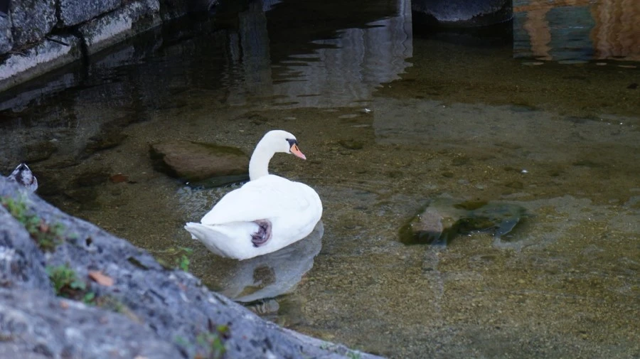 DSC05182.jpg?type=w1