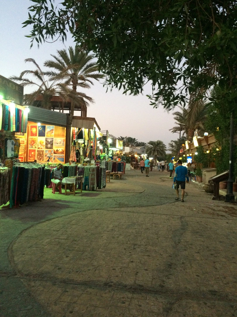 IMG_2772.jpg?type=w1