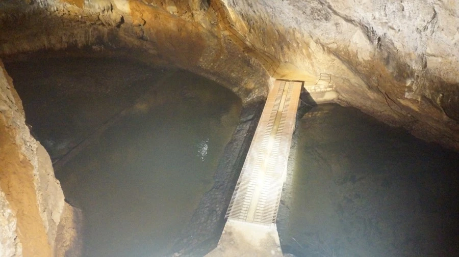 DSC06546.jpg?type=w1