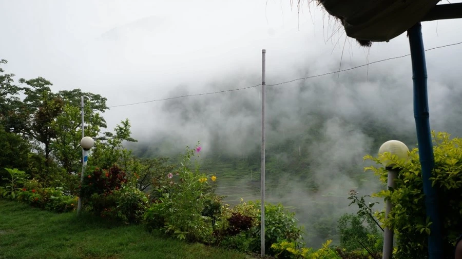 DSC01028%A4%BB.jpg?type=w1