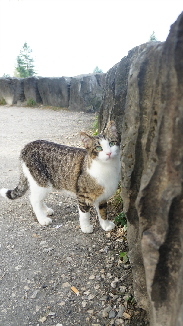 DSC04608.jpg?type=w1