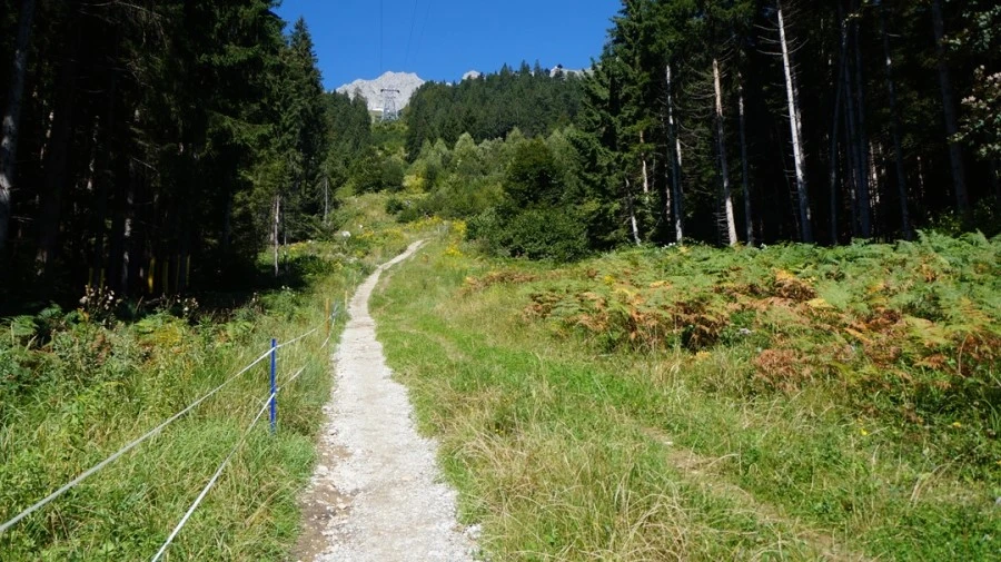 DSC04811.jpg?type=w1