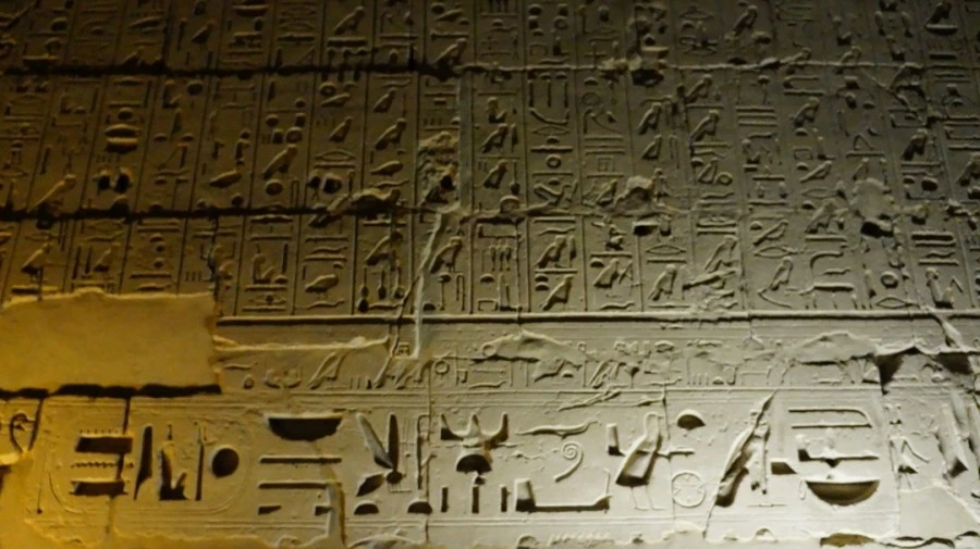 DSC03993.jpg?type=w1