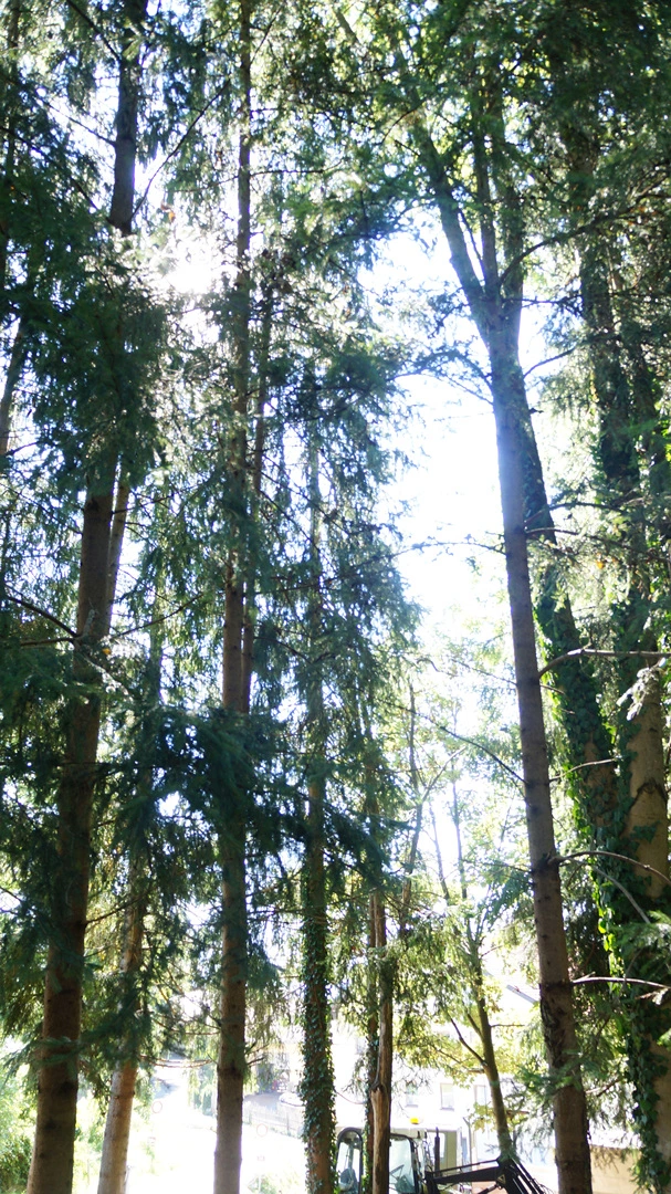 DSC04795.jpg?type=w1