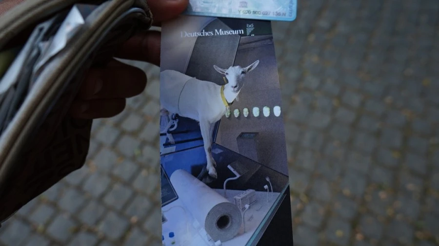 DSC04974.jpg?type=w1