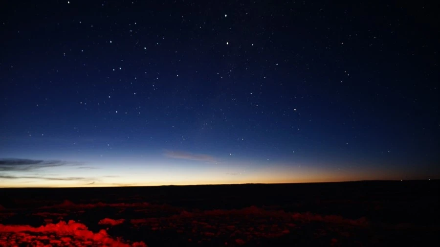 DSC00864%E3%85%A1.jpg?type=w1