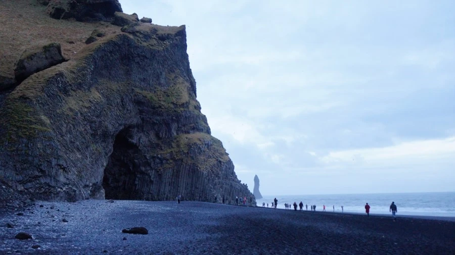 DSC08373.jpg?type=w1