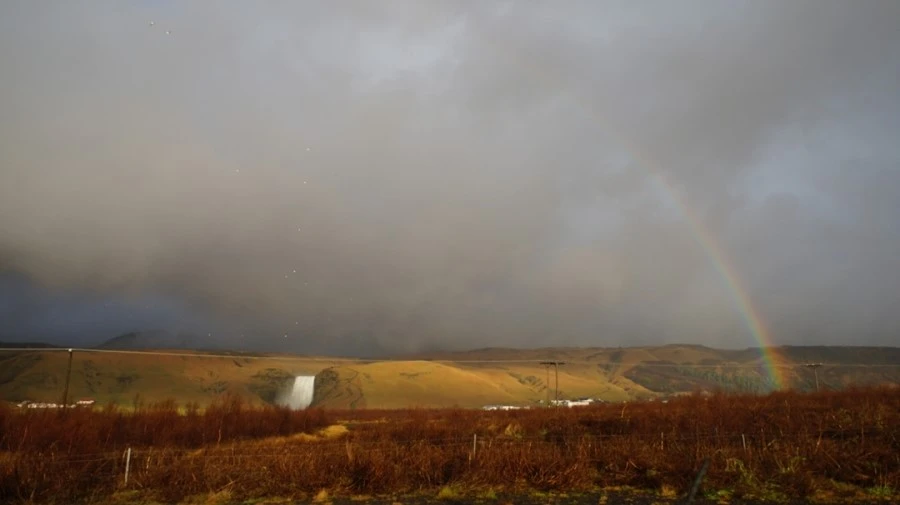 DSC09141.jpg?type=w1