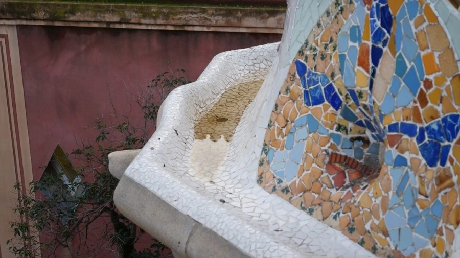 DSC09786.jpg?type=w1