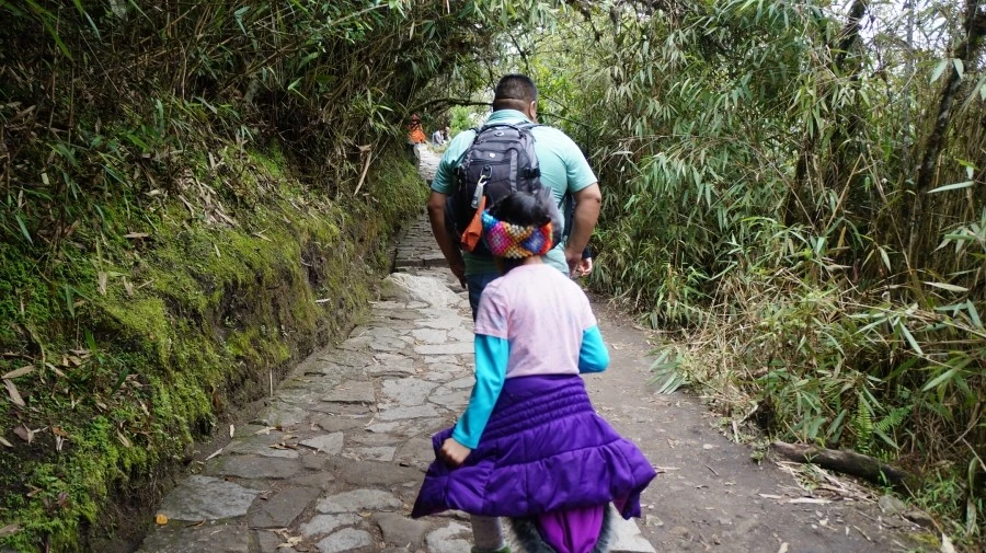 DSC01360.jpg?type=w1