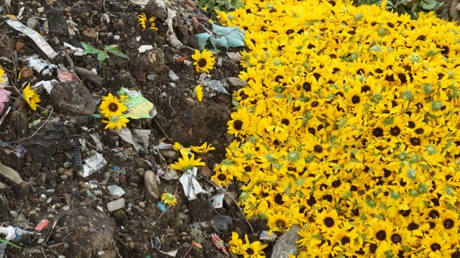 DSC03332.jpg?type=w1