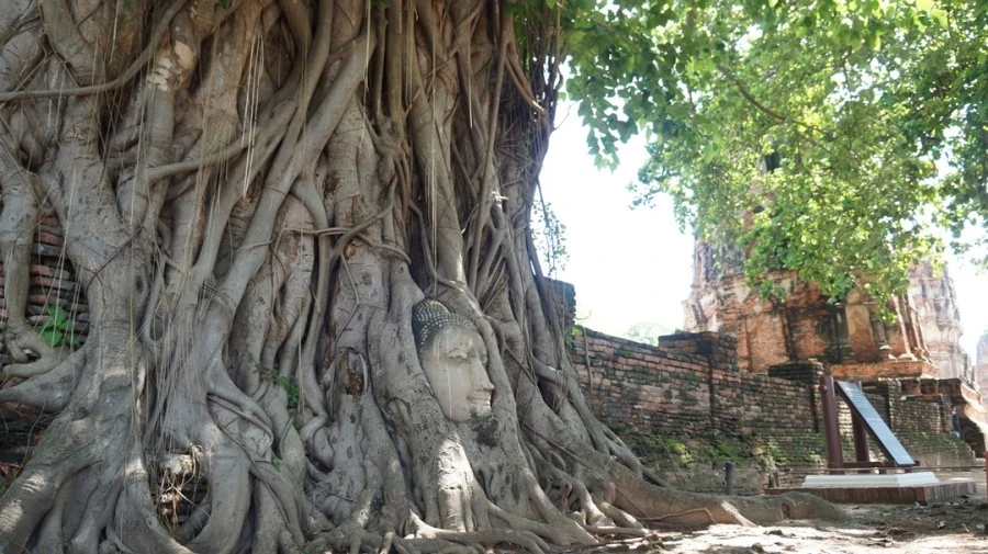 DSC01504%A4%D1.jpg?type=w1