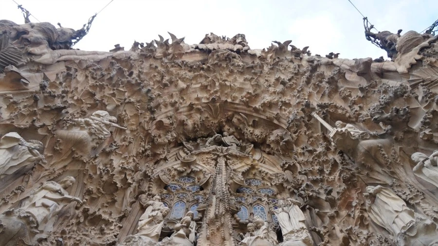 DSC09485.jpg?type=w1