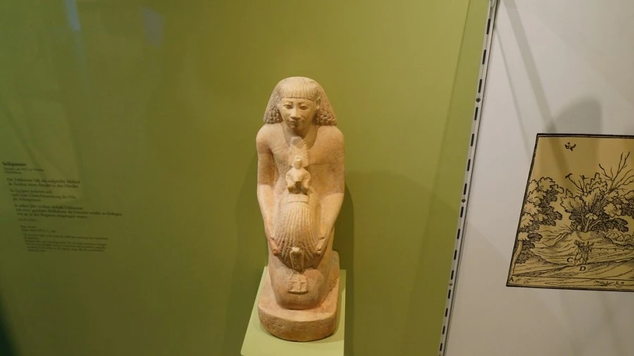 DSC05079.jpg?type=w1