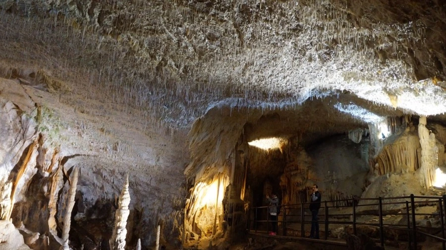 DSC06349%A4%D1.jpg?type=w1