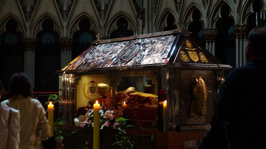 DSC05341.jpg?type=w1