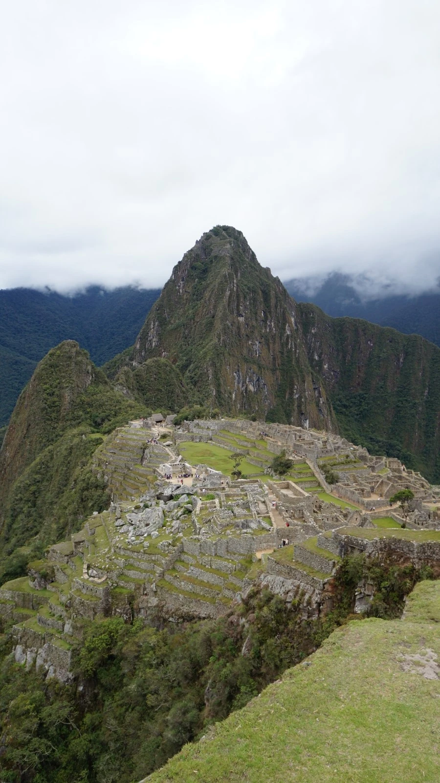 DSC01465%E3%85%A1.jpg?type=w1