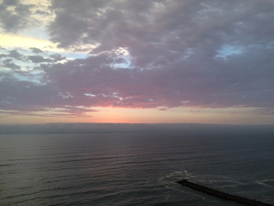 IMG_7893.jpg?type=w1