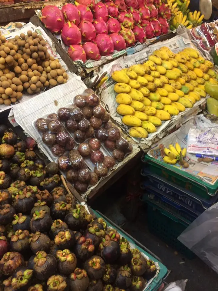 13781748_1240603359293573_3426091665338429329_n.jpg?type=w1