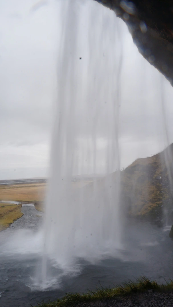 DSC08062.jpg?type=w1