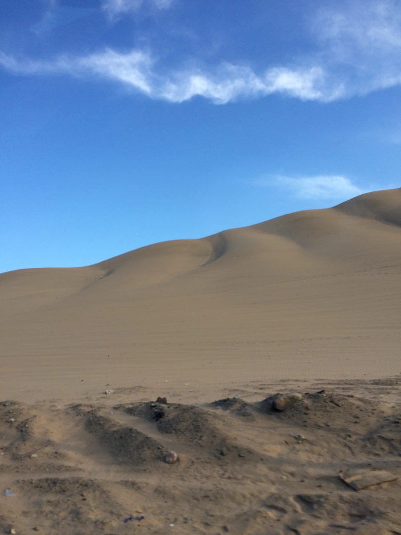 IMG_7175.jpg?type=w1