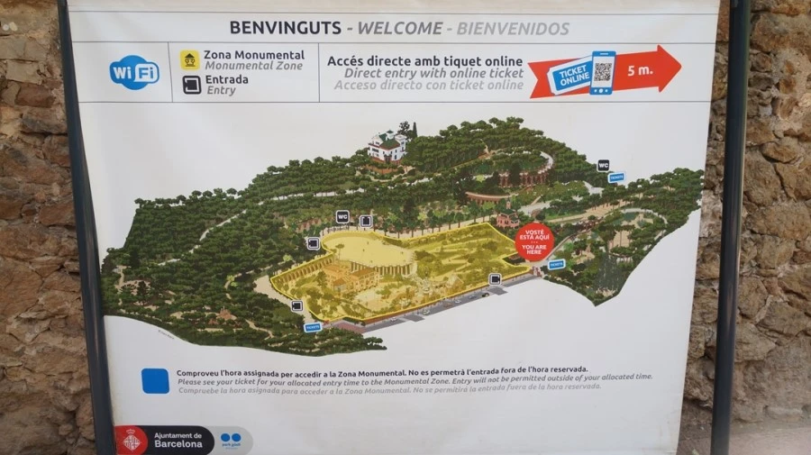 DSC09395.jpg?type=w1